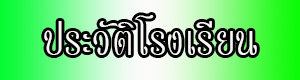 ประวัติ